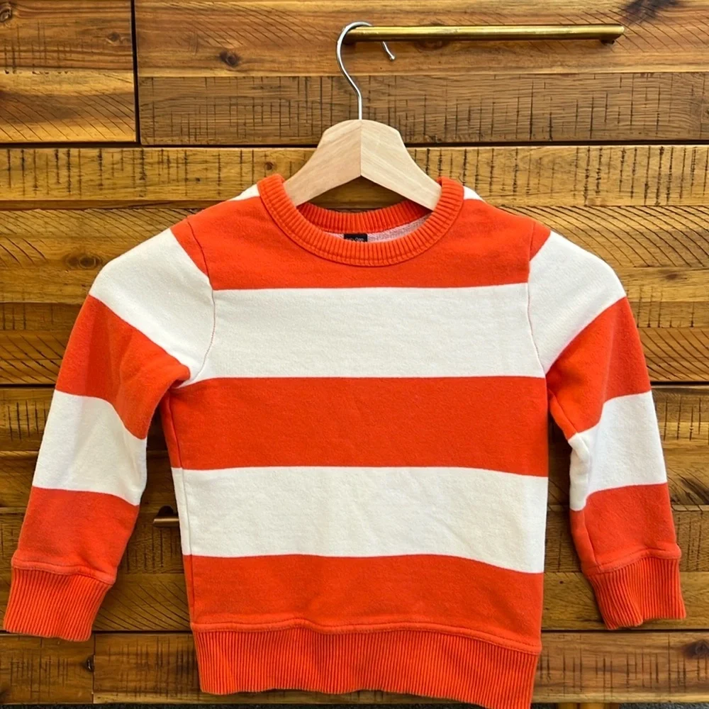 GAP Boys Striped Sweatshirt